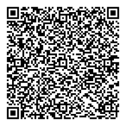 QR-Zinzi